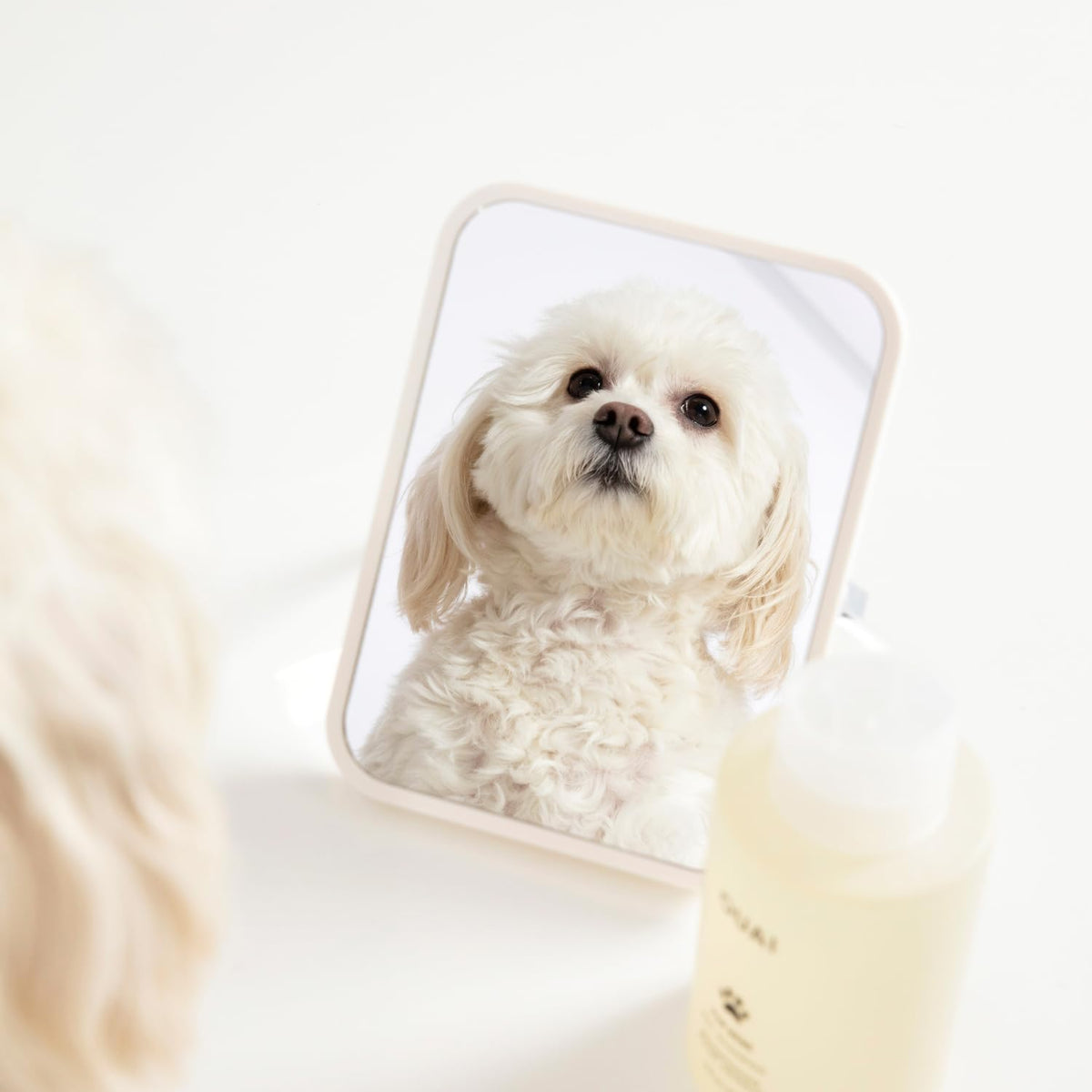 Pet Shampoo 16 Fl oz M309390