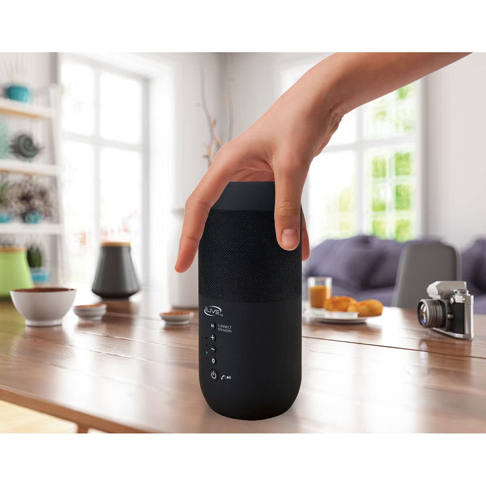 Black Waterproof Indoor and Outdoor Speakers, 2 Count Y313713