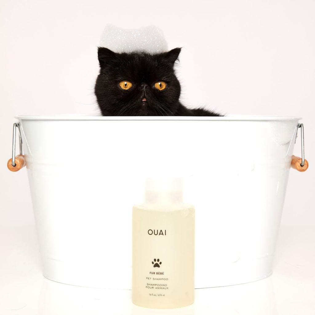 Pet Shampoo 16 Fl oz M309390