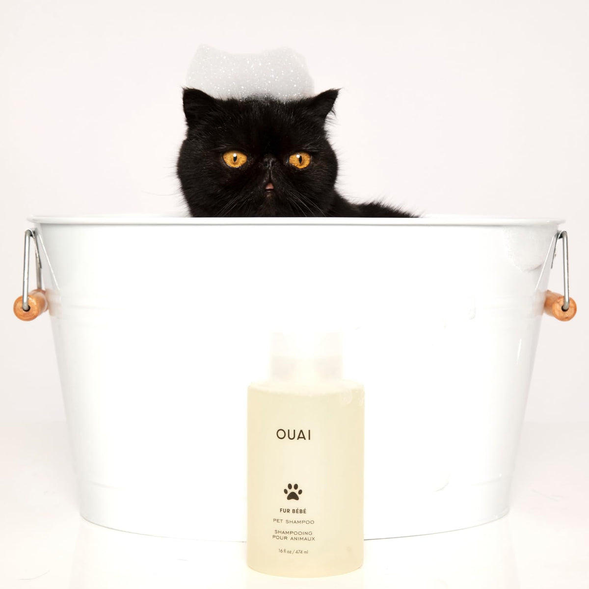 Pet Shampoo 16 Fl oz M309390