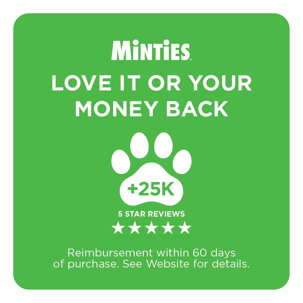 Mint Dental Chews for Dogs, 40 Ct H61364
