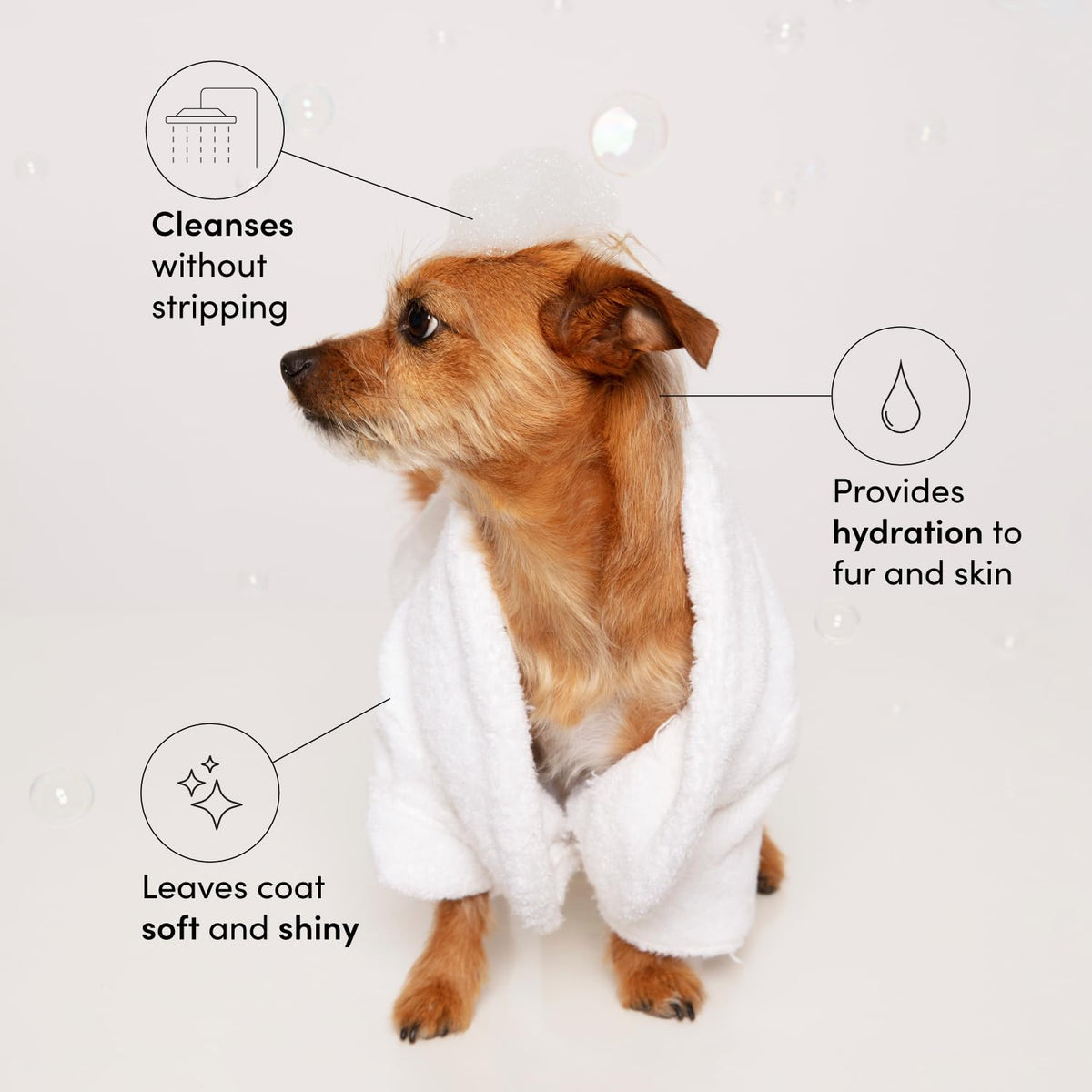 Pet Shampoo 16 Fl oz M309390