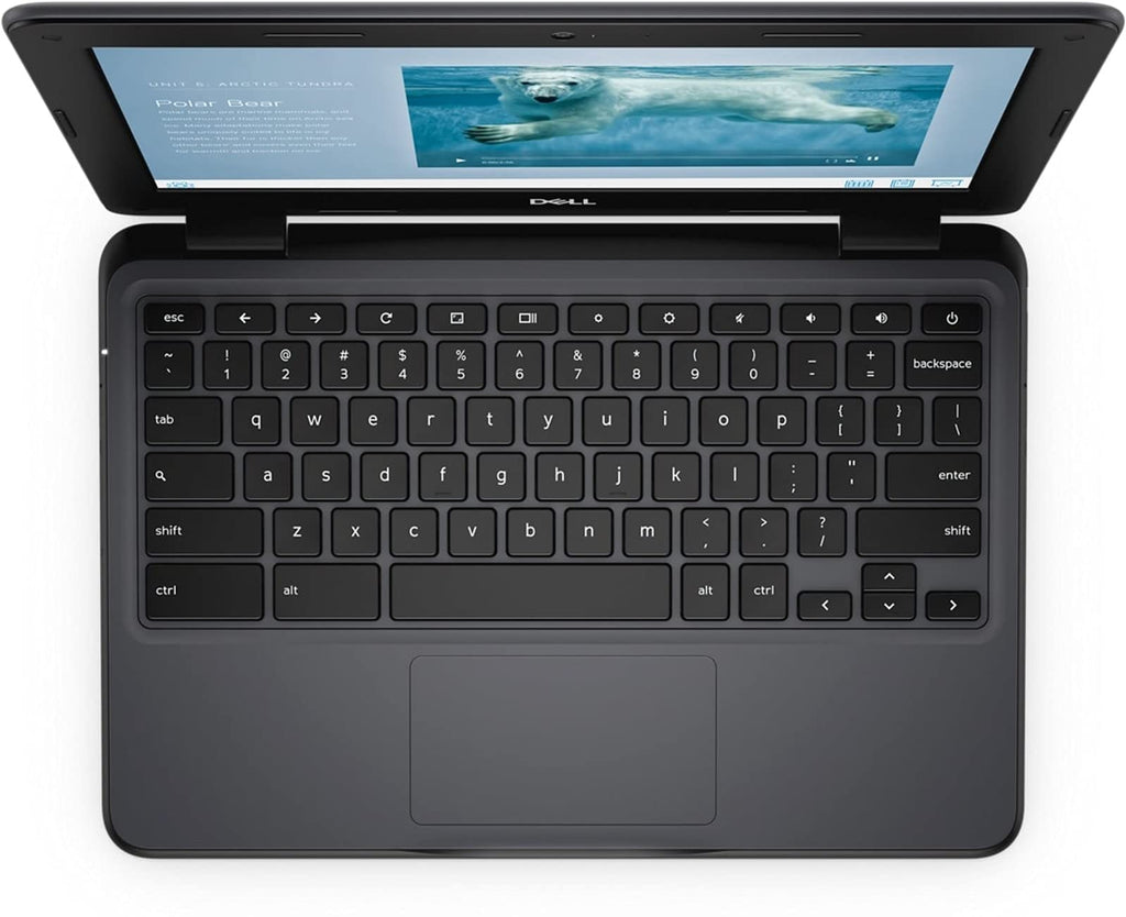 11.6" Chromebook Z313205