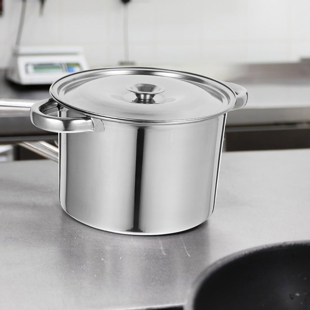 Stainless Steel Double Handle Soup Pot with Lid W571