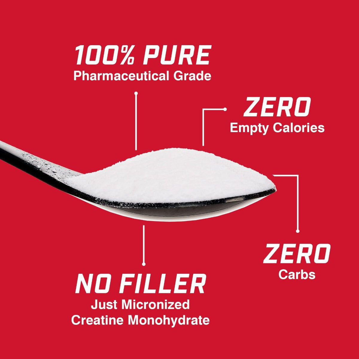 Creatine Monohydrate Powder 5g 300g 60 Servings T411