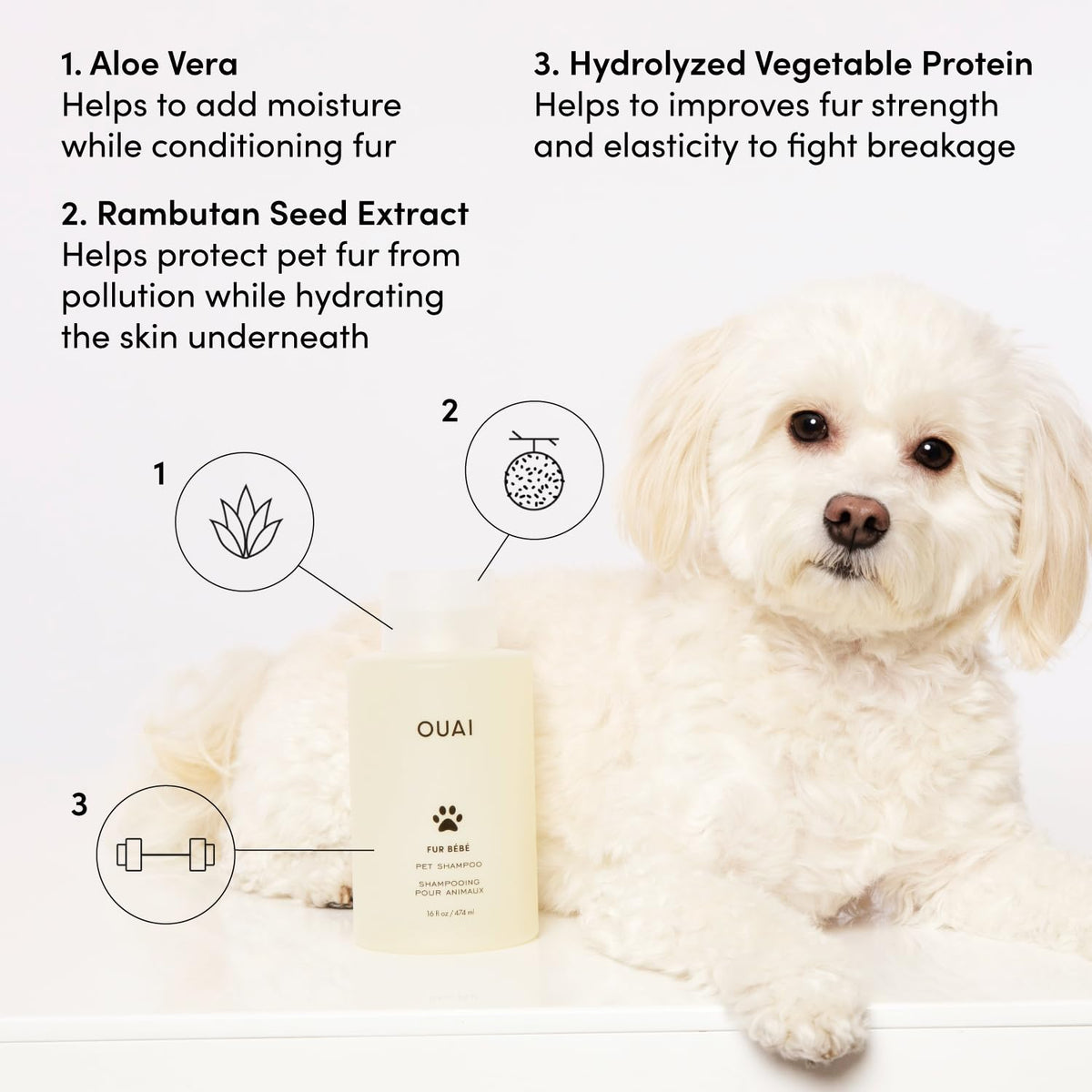 Pet Shampoo 16 Fl oz M309390