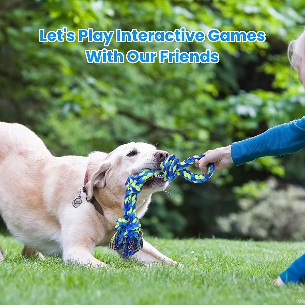 Dog Rope Toys D113009