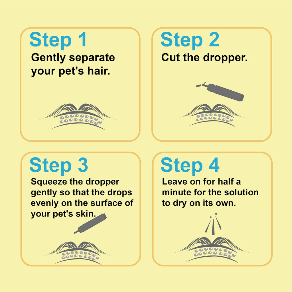 Flea and Tick Prevention for Dogs 6 Doses H737