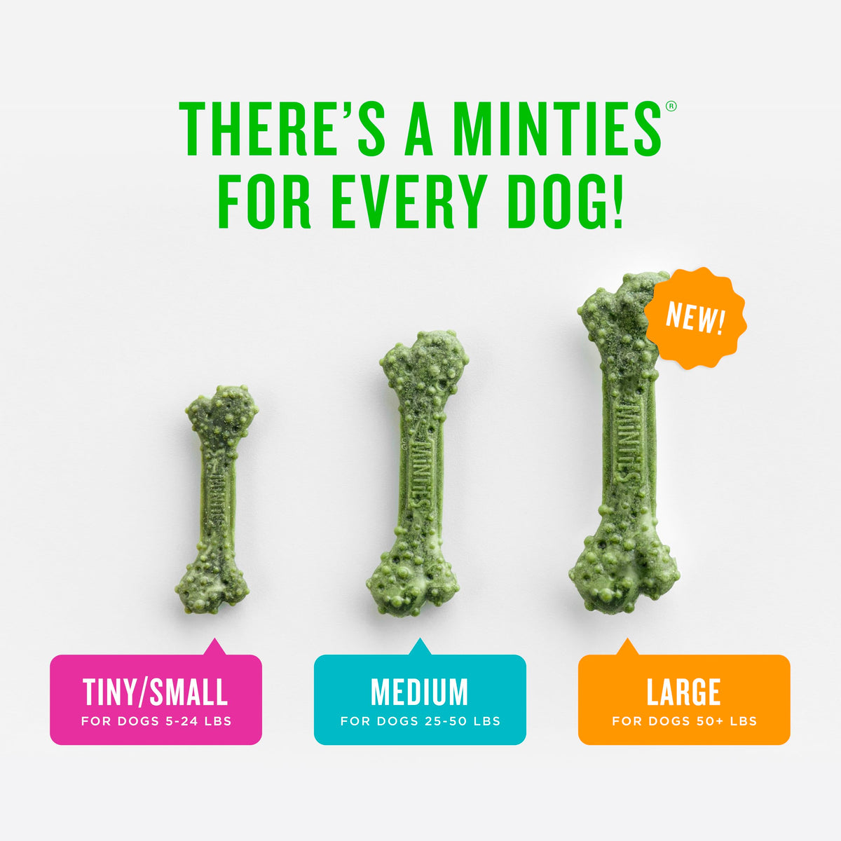 Mint Dental Chews for Dogs, 40 Ct H61364