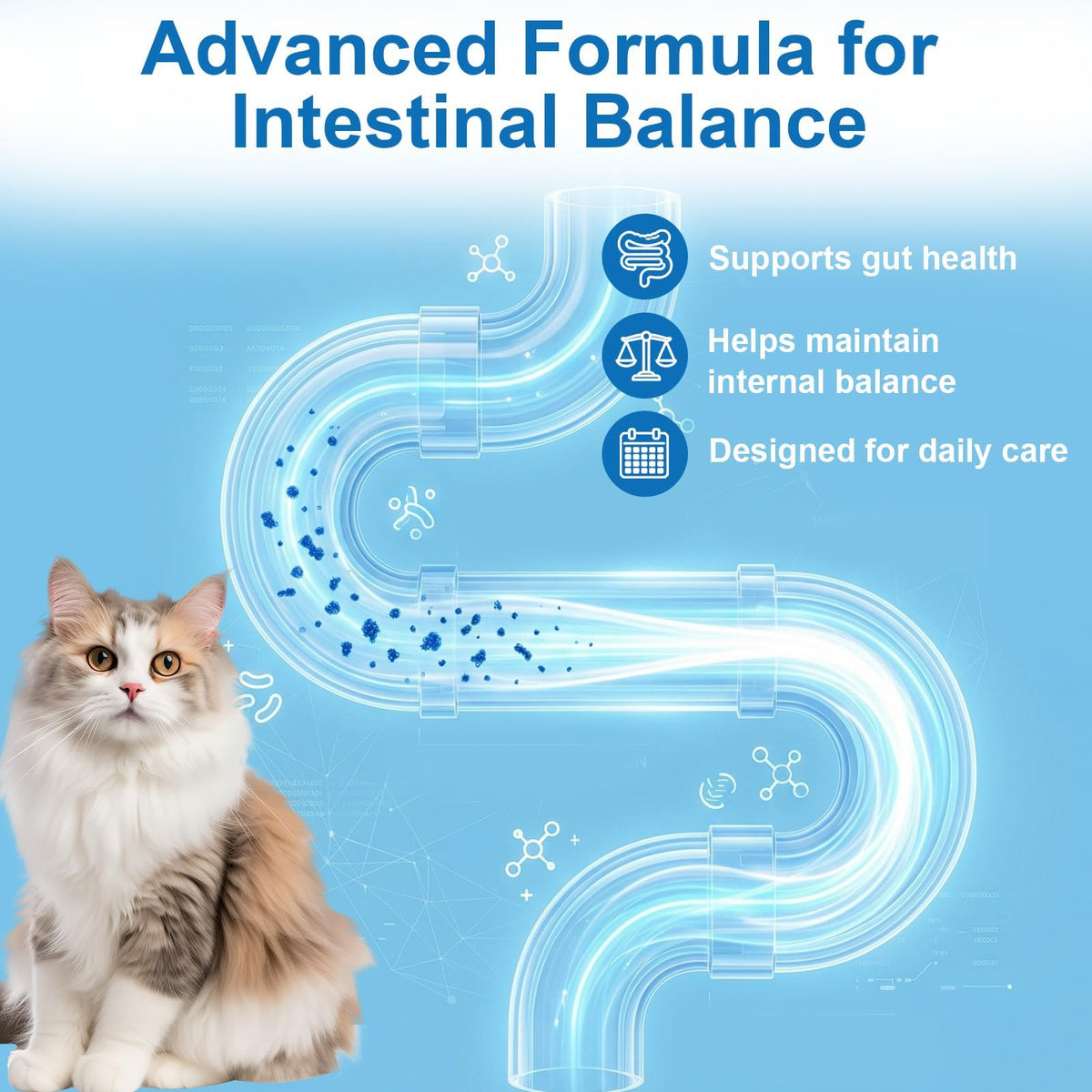 Cat and Kitten Dewormer 50 Tablets P9610