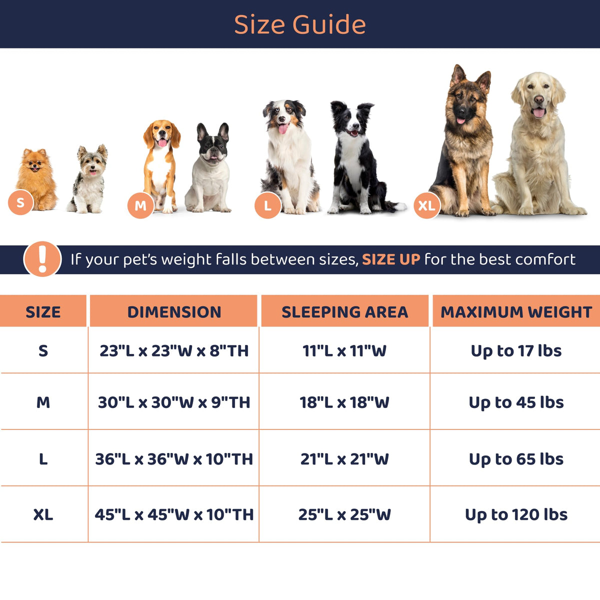 Round Dog Bed C354111