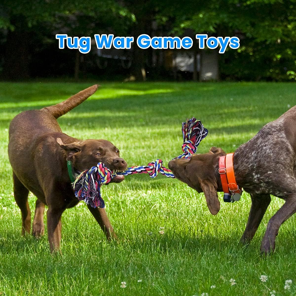 Dog Rope Toys D113009