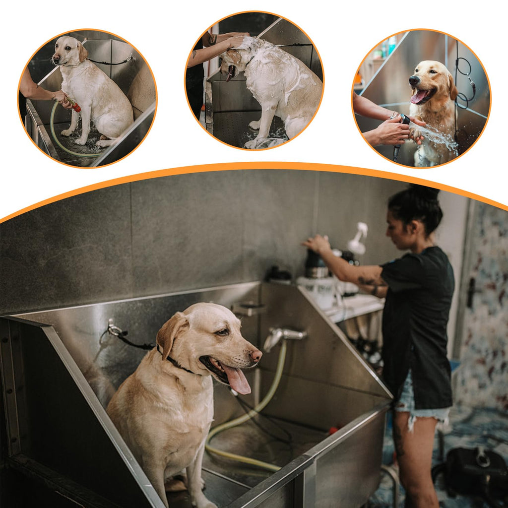 Stainless Steel Dog Washing Station with Stairs G62313