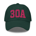 Embroidered Dad Hat D9251
