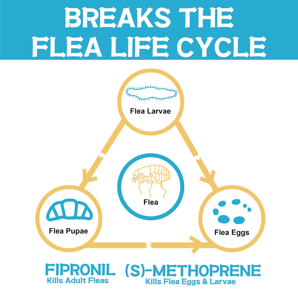 Flea and Tick Prevention for Dogs 6 Doses H737