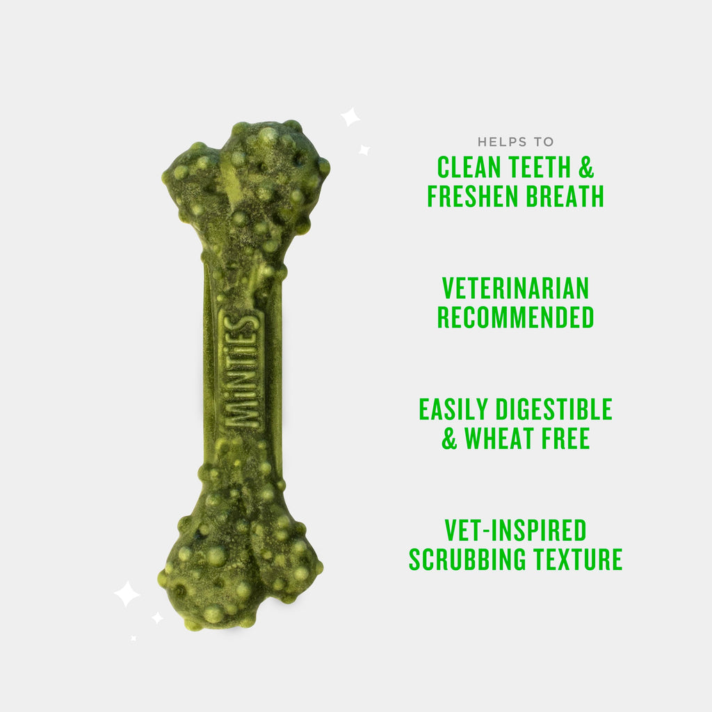 Mint Dental Chews for Dogs, 40 Ct H61364