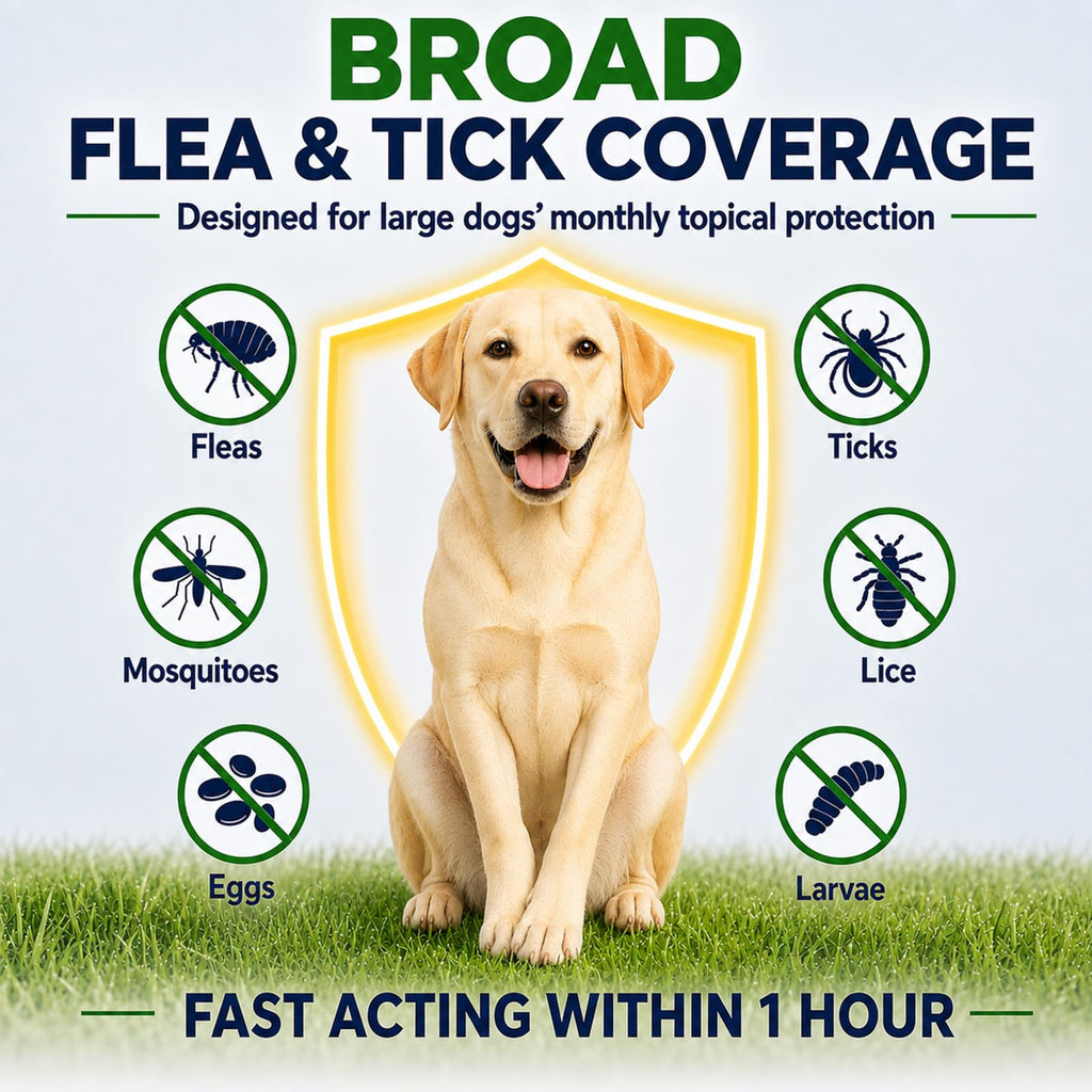 Flea and Tick Prevention for Large Dogs M476331