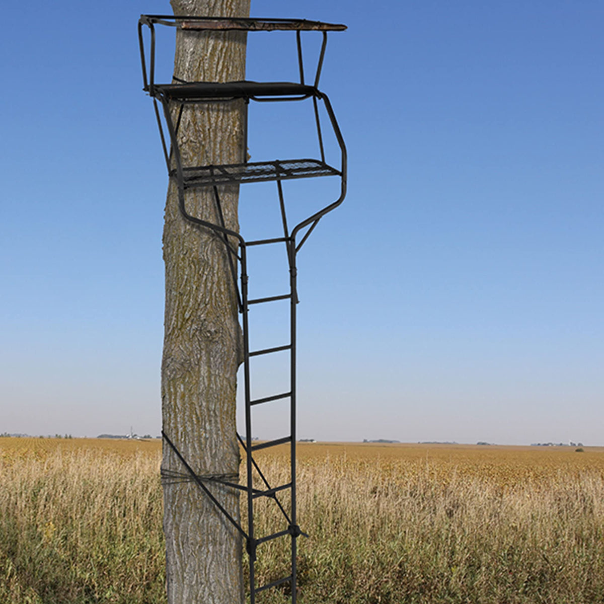 2 Person 18 Foot Tall Portable Hunting Tree Ladder Stand (2 Pack) F371648