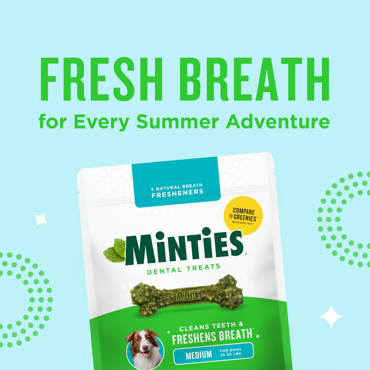 Mint Dental Chews for Dogs, 40 Ct H61364