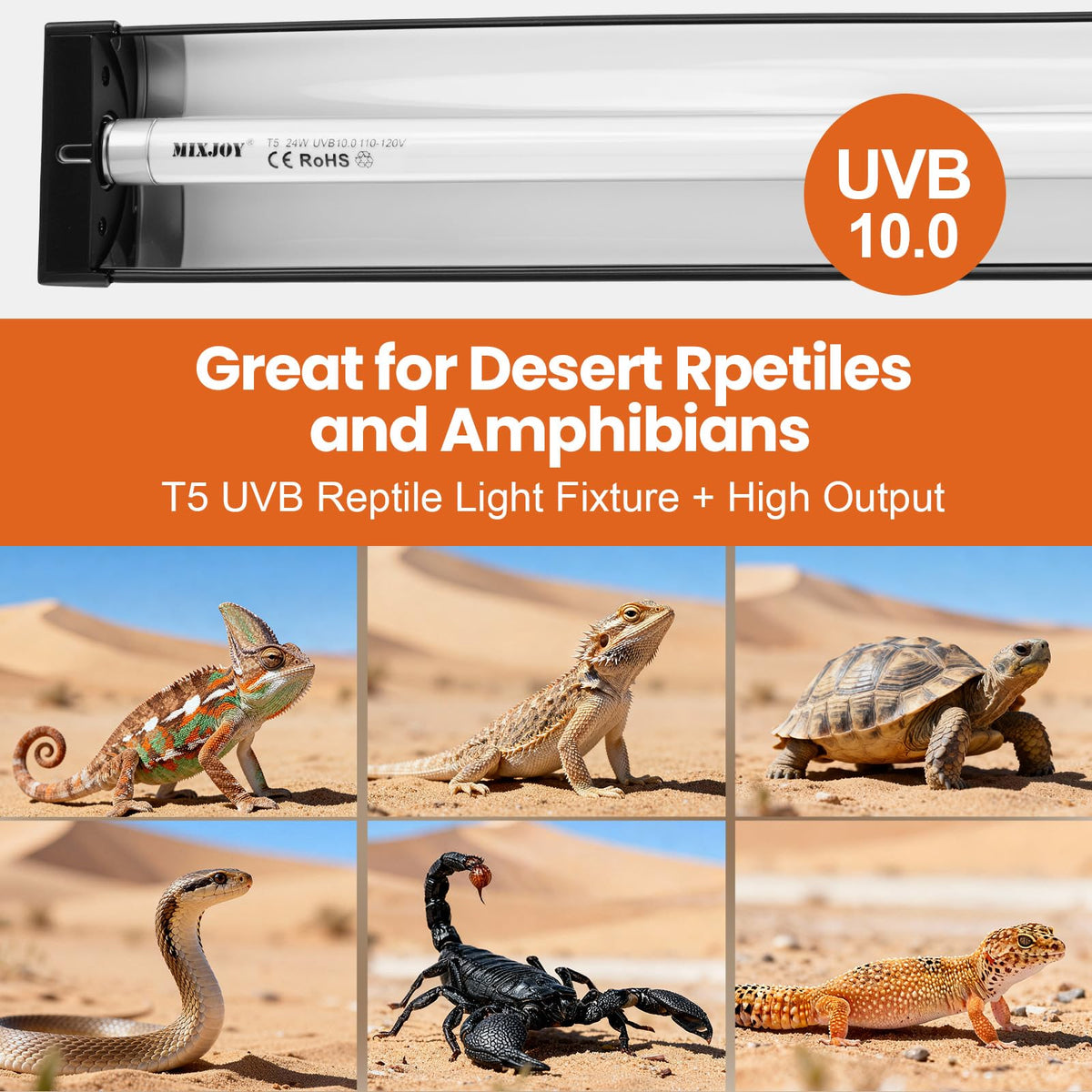 24W 10.0 UVB Reptile Light Kit P815