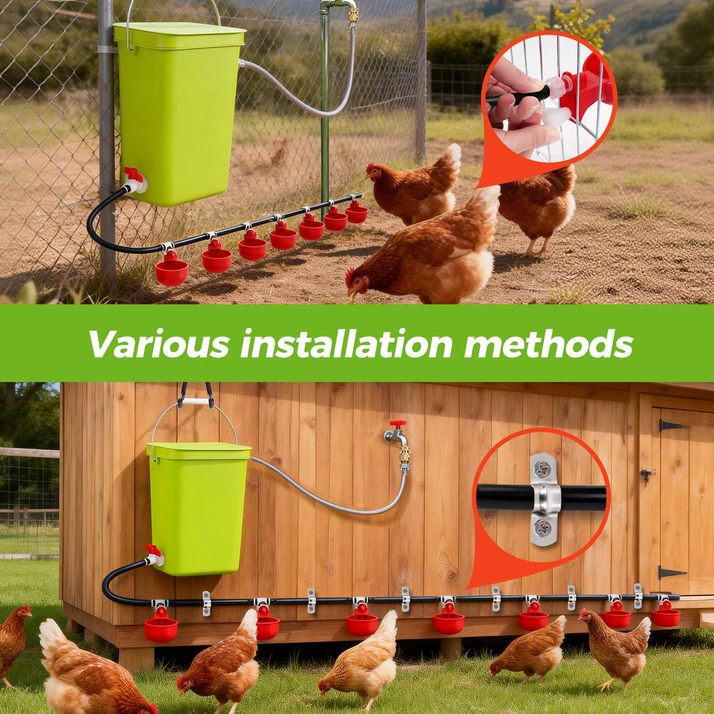 Automatic Chicken Waterer Set E24656