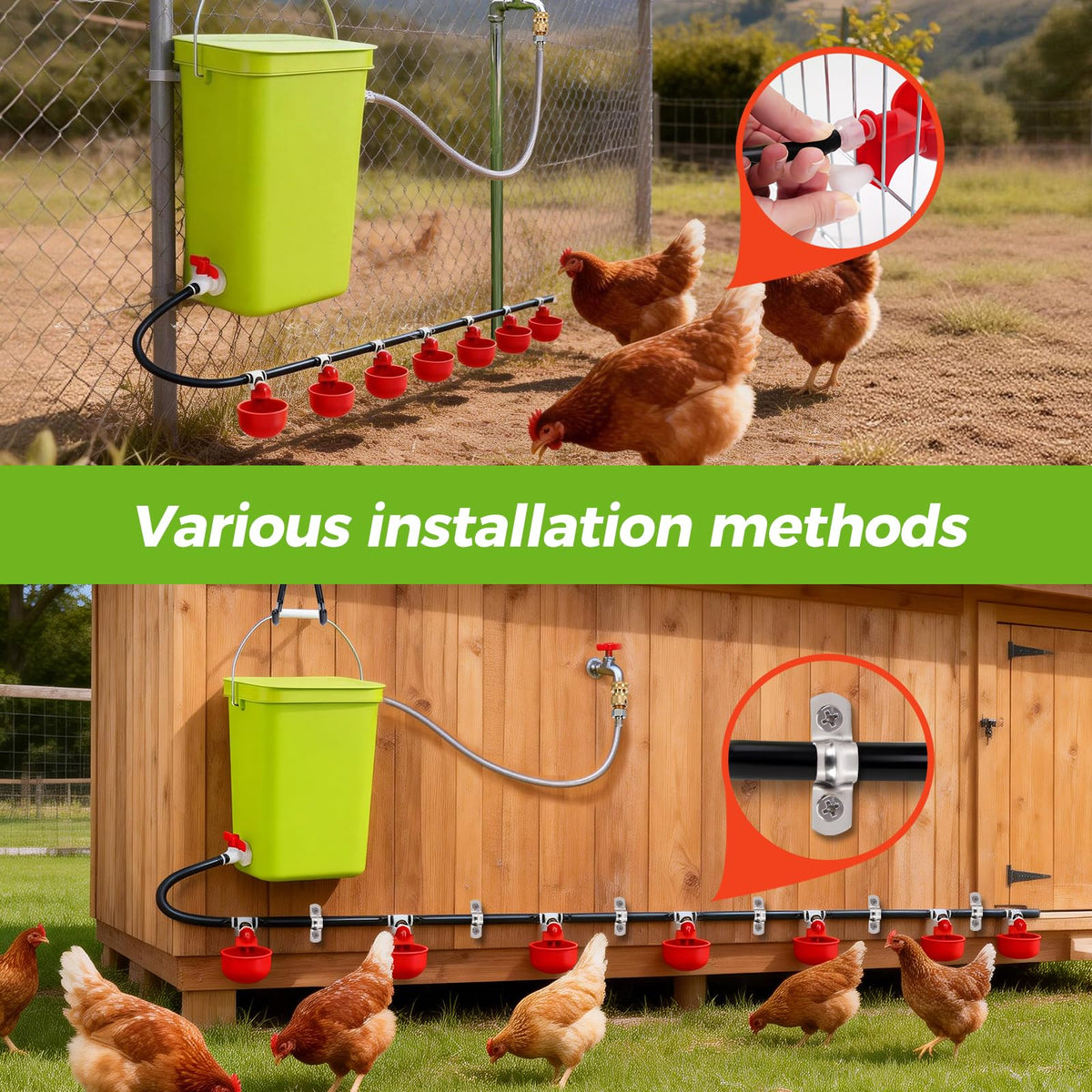Automatic Chicken Waterer Set E24656