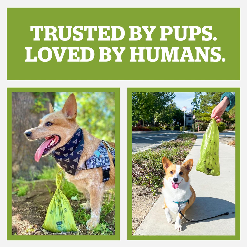 Dog Poop Bag Holder & Dispenser with 15 Unscented Bags S519179