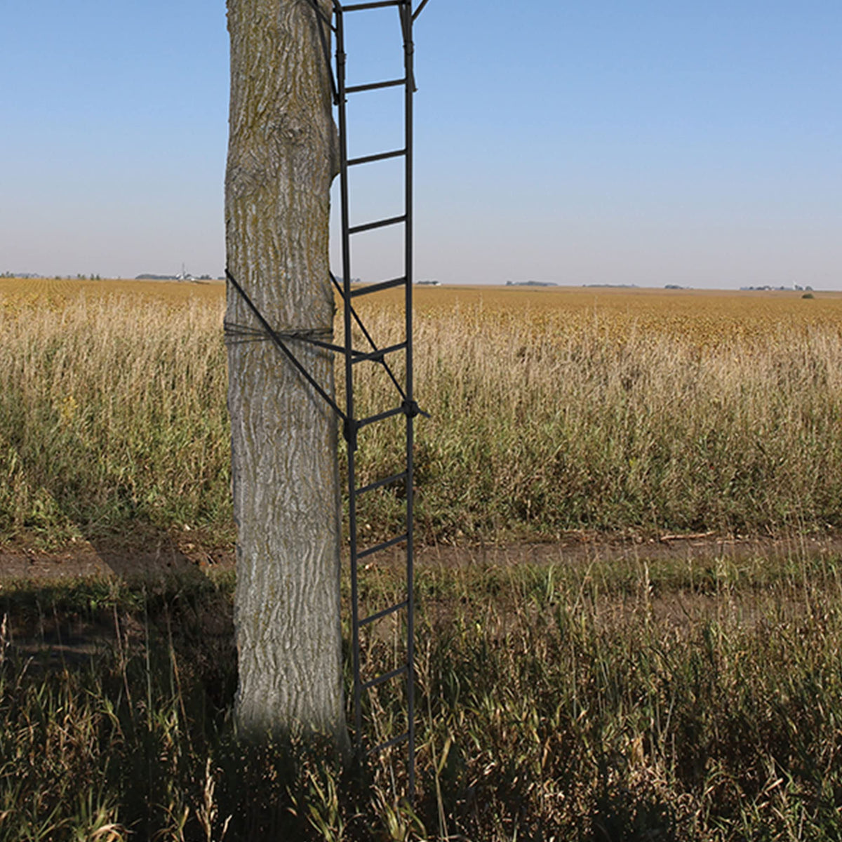 2 Person 18 Foot Tall Portable Hunting Tree Ladder Stand (2 Pack) F371648