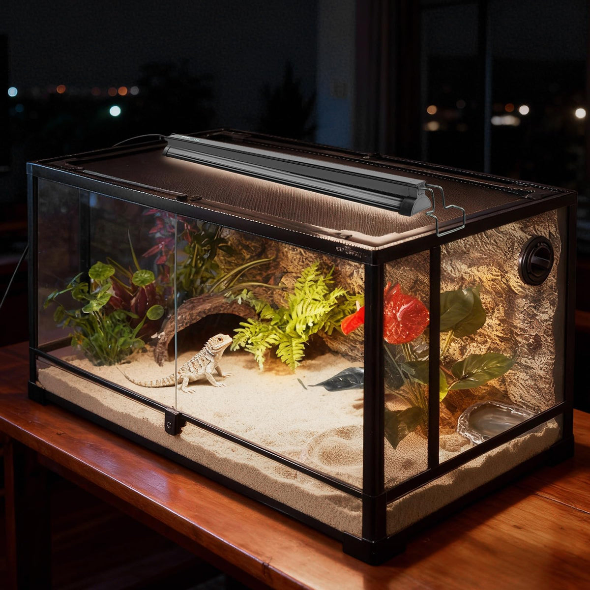 24W 10.0 UVB Reptile Light Kit P815