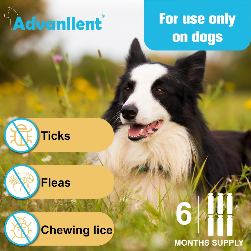 Flea and Tick Prevention for Dogs 6 Doses H737