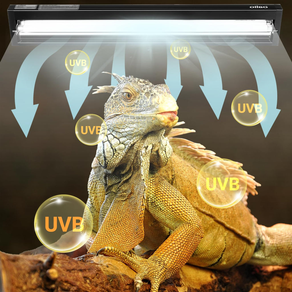 24W UVB 10.0 Reptile Light Fixture Combo Kit K4882