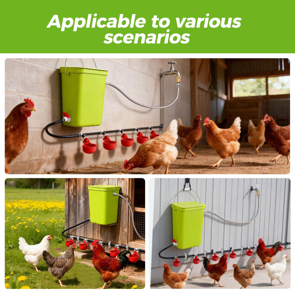 Automatic Chicken Waterer Set E24656
