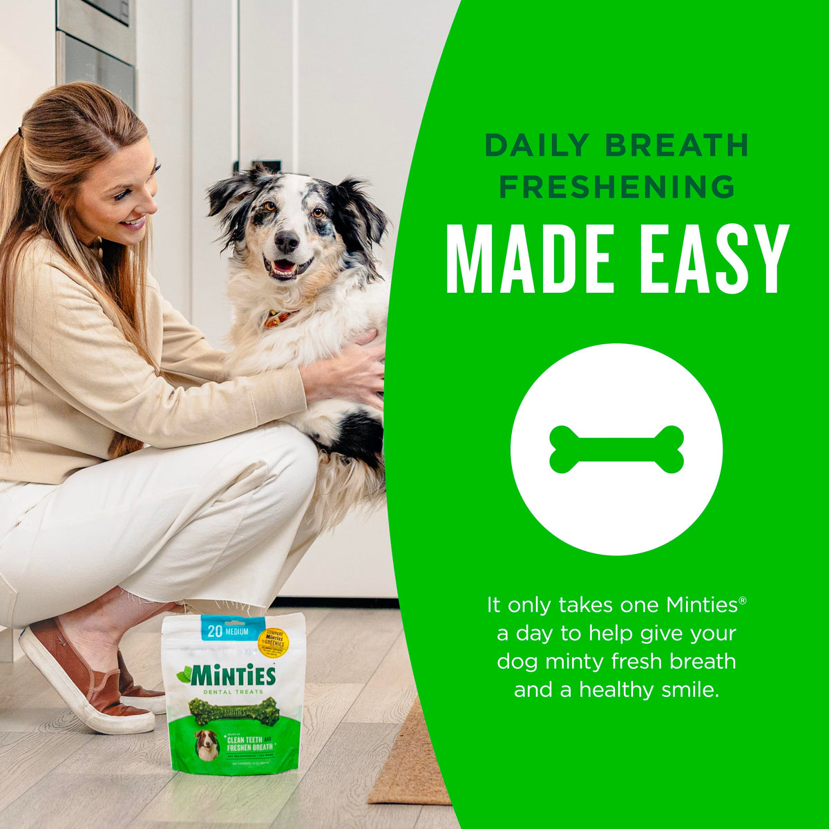 Mint Dental Chews for Dogs, 40 Ct H61364