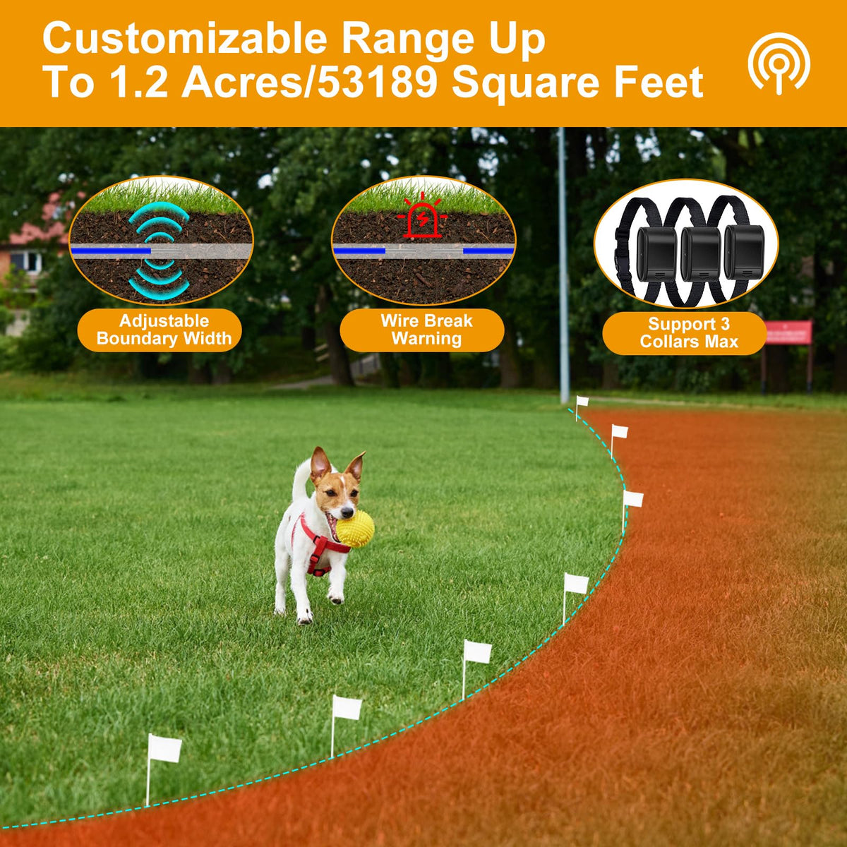 Electric Dog Fence System for 2 Dogs with 2 Waterproof Receiver Collars B5266