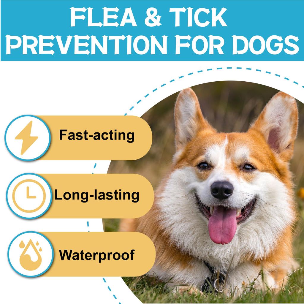 Flea and Tick Prevention for Dogs 6 Doses H737