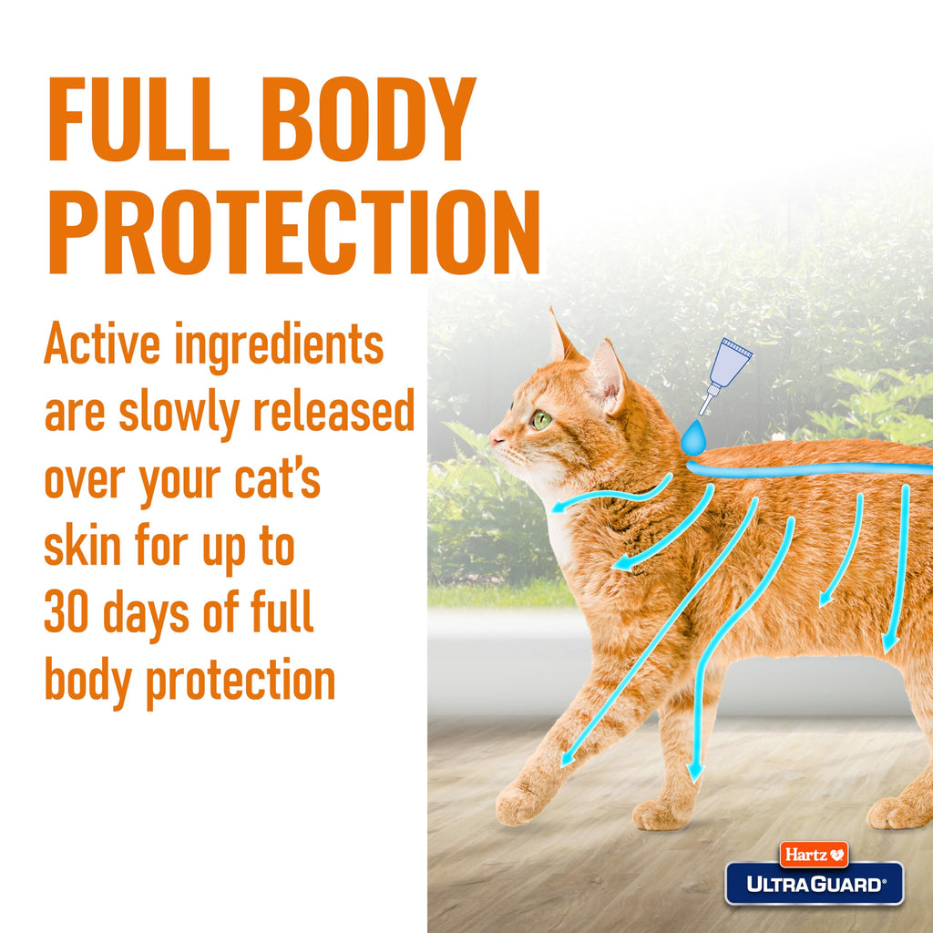 Flea & Tick Prevention for Cats and Kittens - 3 Monthly Treatments A76348