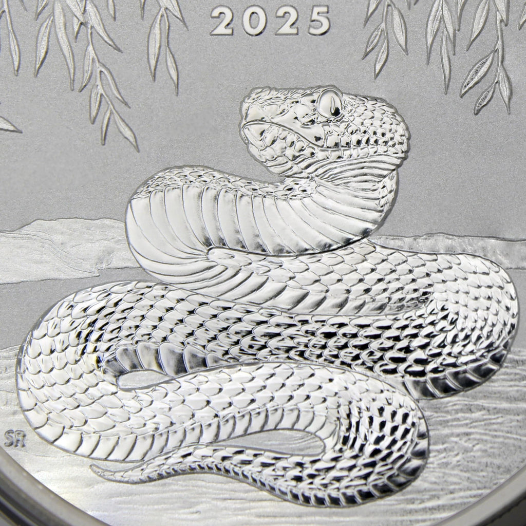 1 oz Silver Year of the Snake Coin X12901