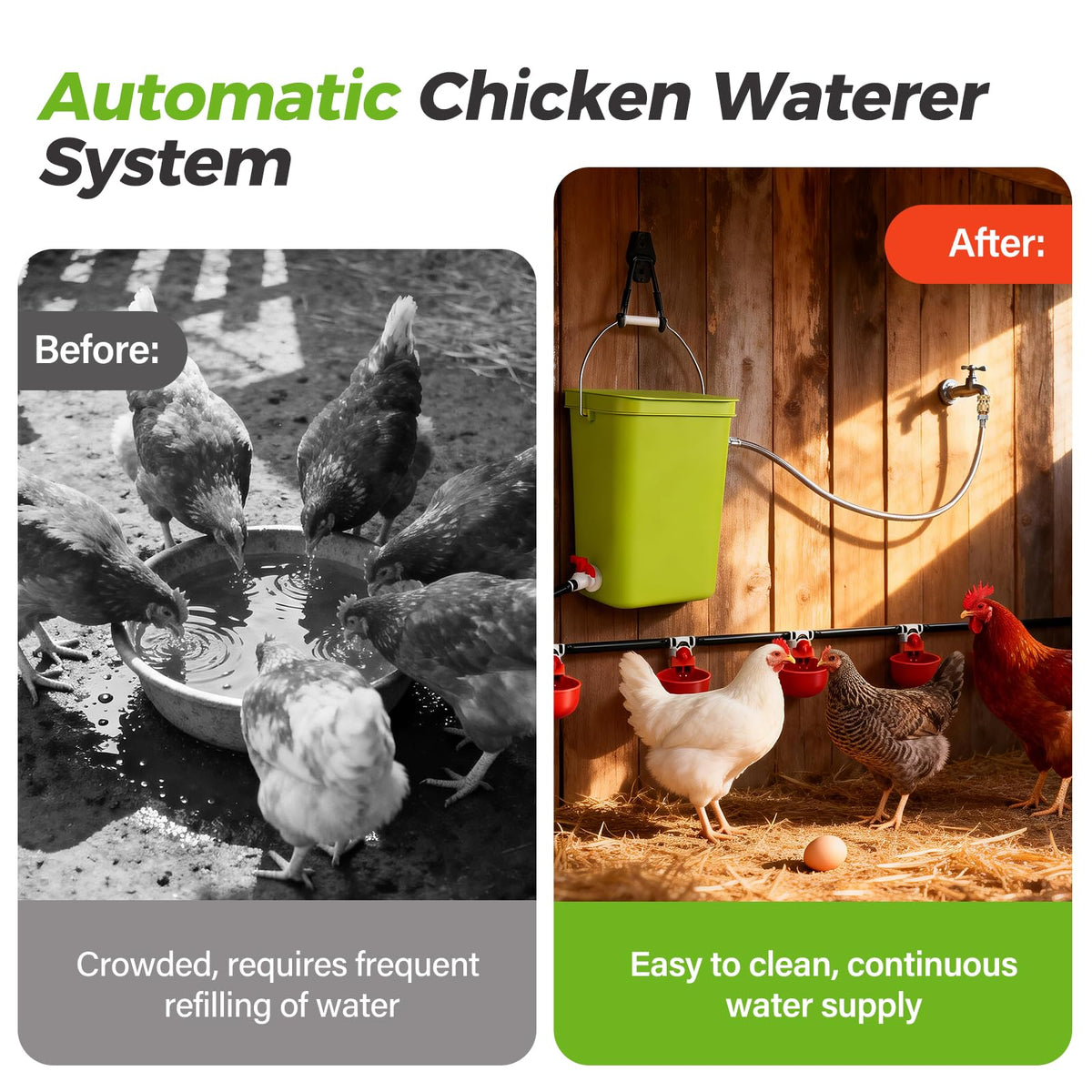 Automatic Chicken Waterer Set E24656