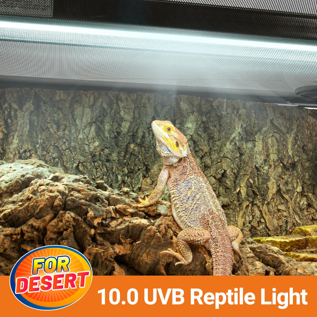 24W UVB 10.0 Reptile Light Fixture Combo Kit K4882
