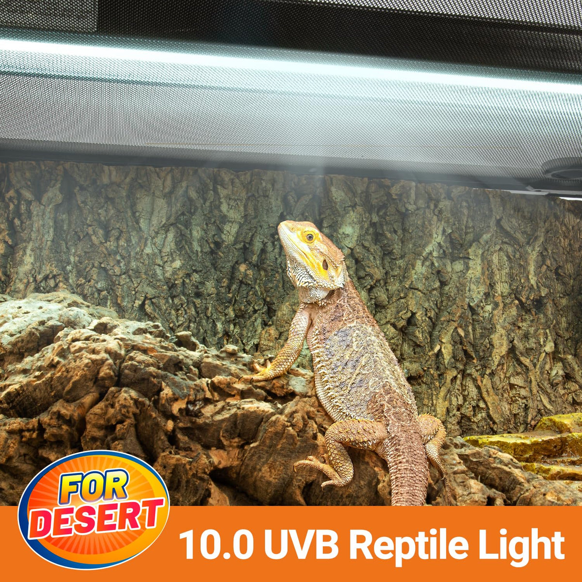 24W UVB 10.0 Reptile Light Fixture Combo Kit K4882