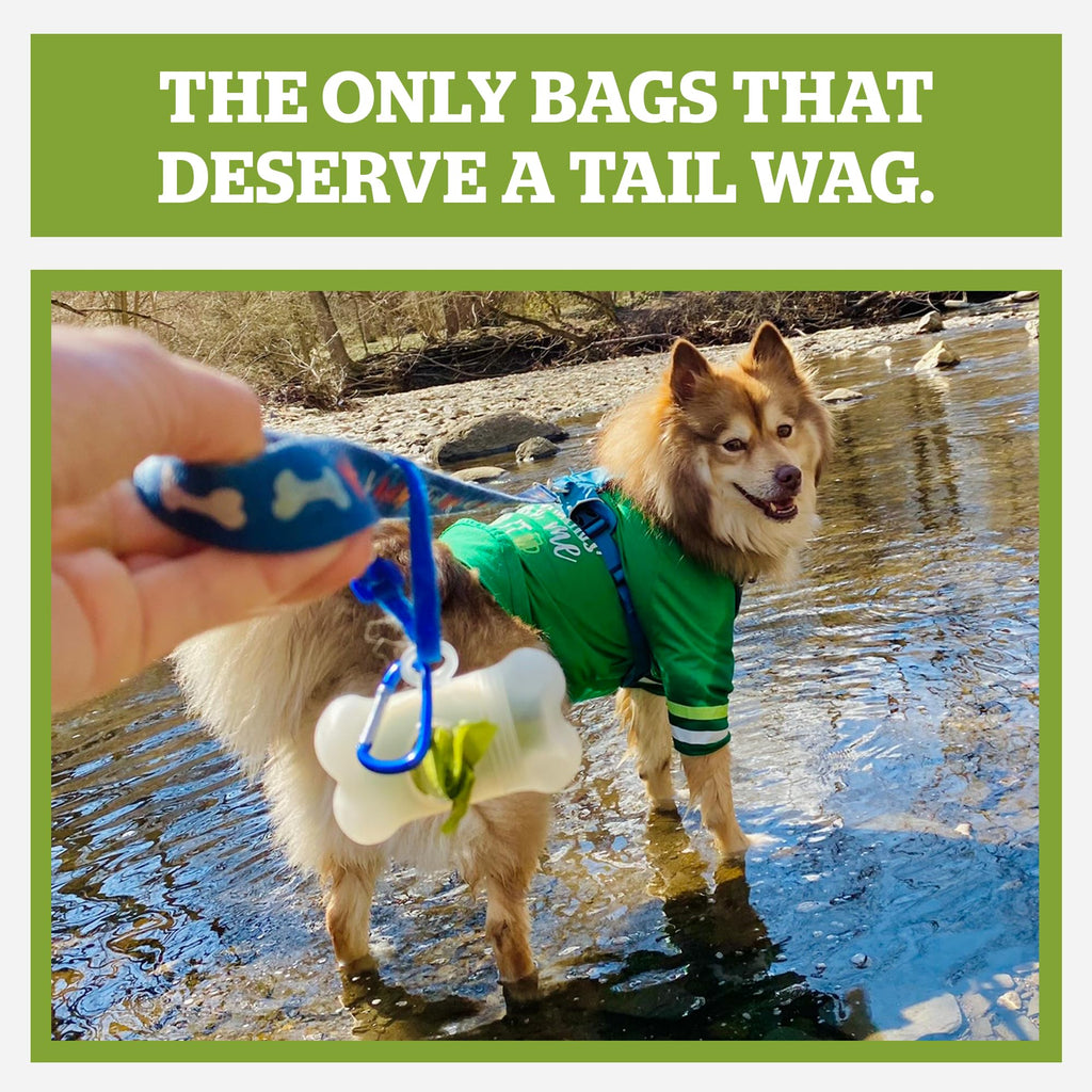 Dog Poop Bag Holder & Dispenser with 15 Unscented Bags S519179
