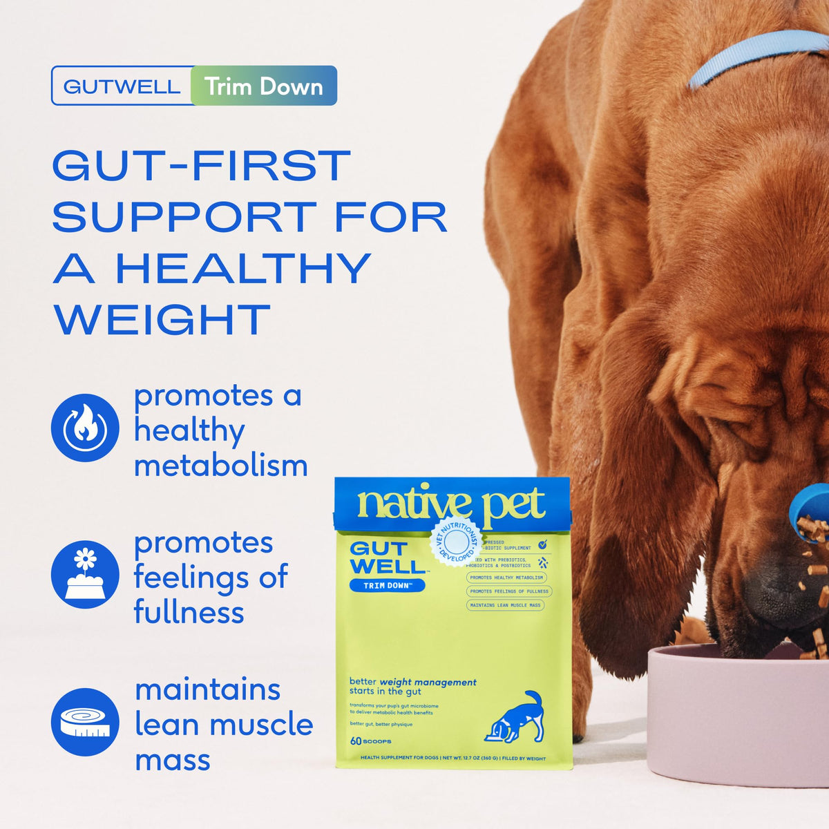 Weight Management Dog Food Topper & Supplement B36250