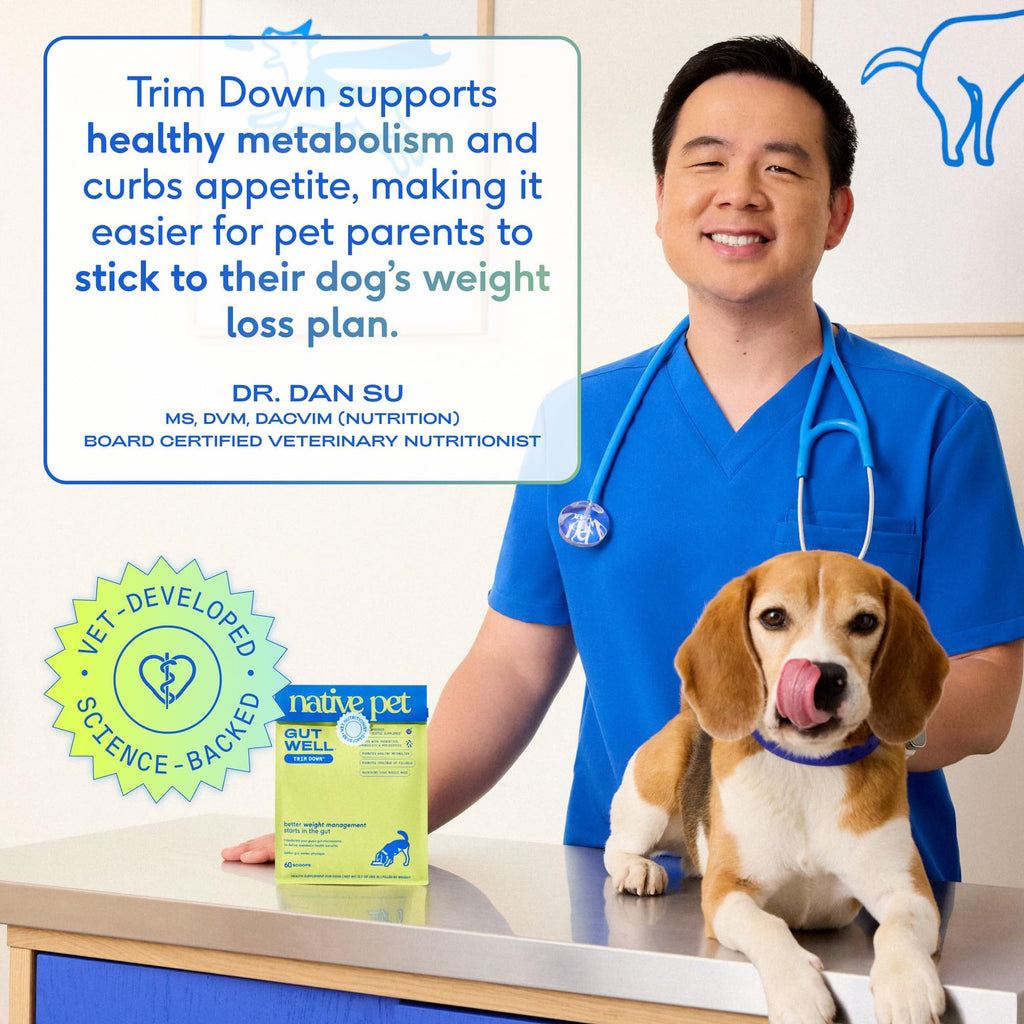 Weight Management Dog Food Topper & Supplement B36250