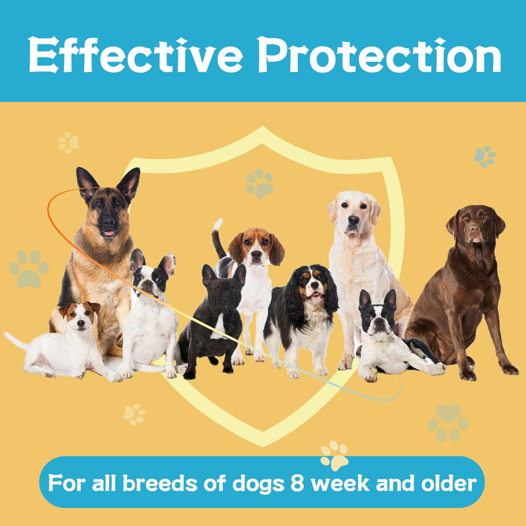 Flea and Tick Prevention for Dogs 6 Doses H737
