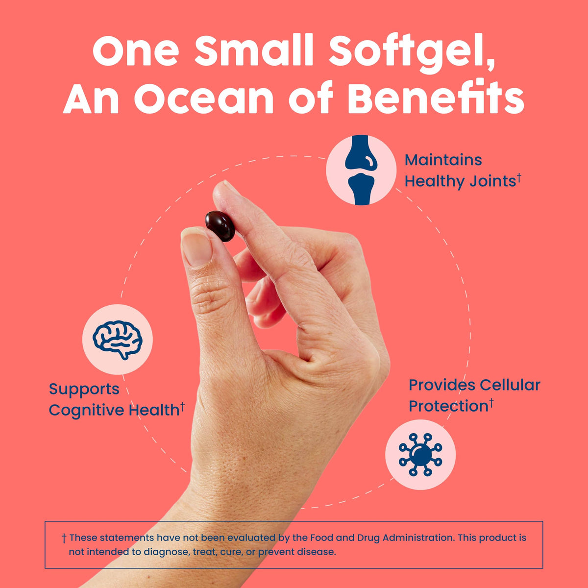 Antarctic Krill Oil 500mg Omega-3 60 Softgels V4358