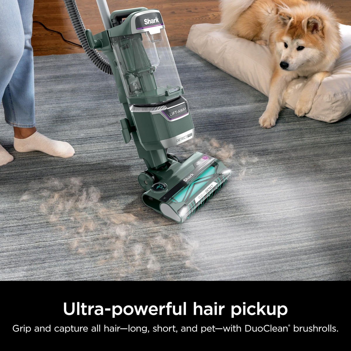 Evergreen Cordless Vacuum F46742