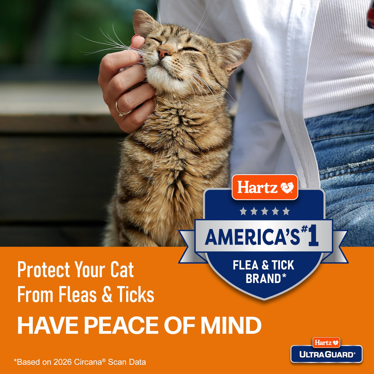 Flea & Tick Prevention for Cats and Kittens - 3 Monthly Treatments A76348