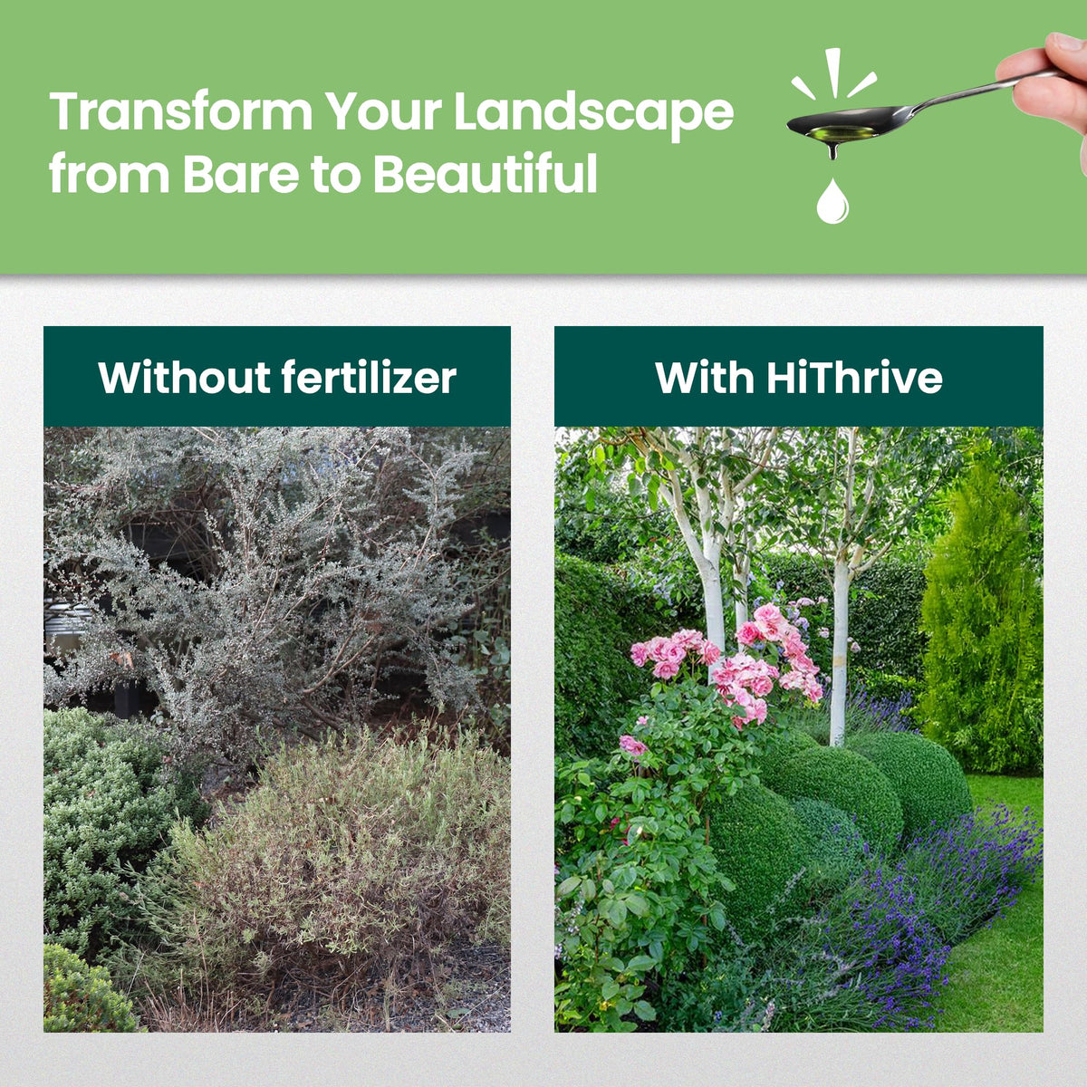 16oz Tree and Shrub Fertilizer L4089