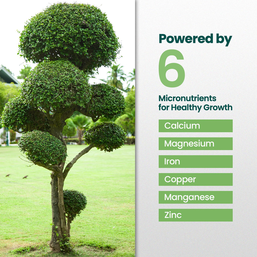 16oz Tree and Shrub Fertilizer L4089