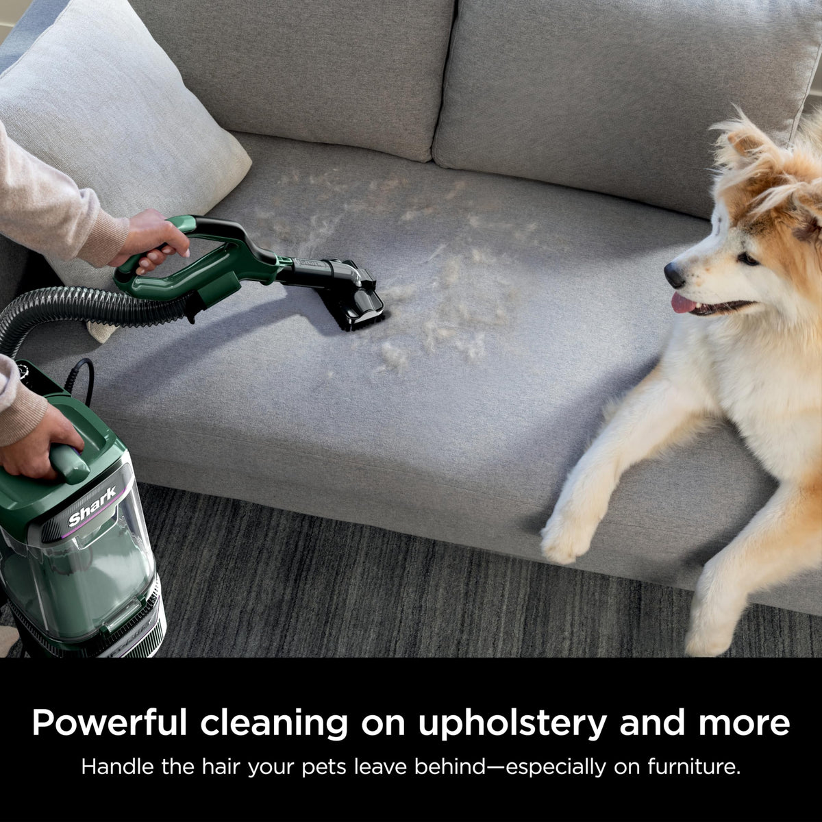 Evergreen Cordless Vacuum F46742